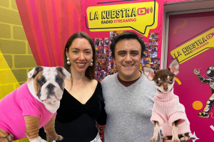 7 consejos de ‘Bienestar Animal’ para que tus mascotas pasen un buen invierno